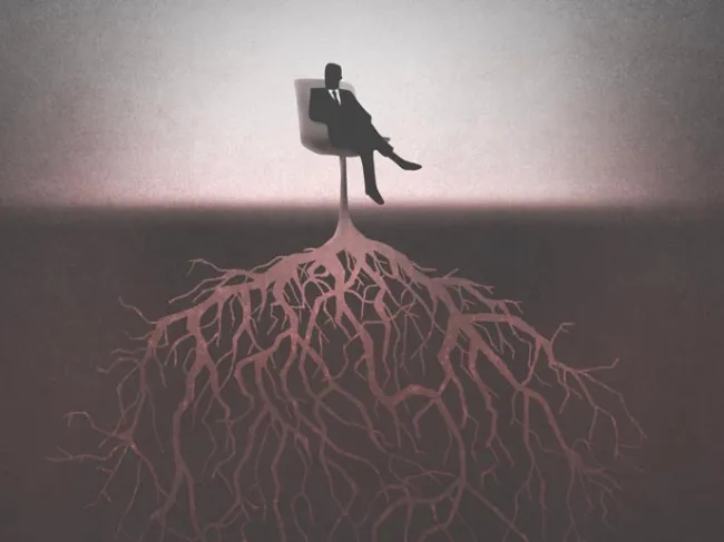 roots